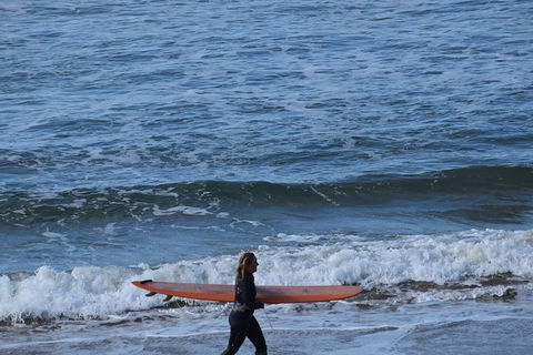 Private Day Tour Of Phillip Island Wildlife And Brighton Beach - Accommodation Yamba 0