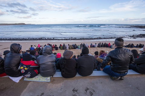 Private Day Tour Of Phillip Island Wildlife And Brighton Beach - Accommodation Yamba 1