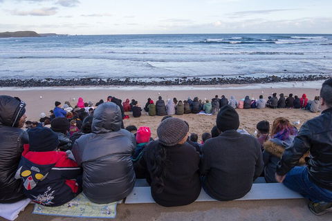Healesville Sanctuary And Phillip Island Wildlife Bus Tour - Accommodation Yamba 1