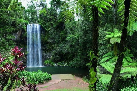Paronella Park And Millaa Millaa Falls Full-day Tour From Cairns - Accommodation Yamba 3