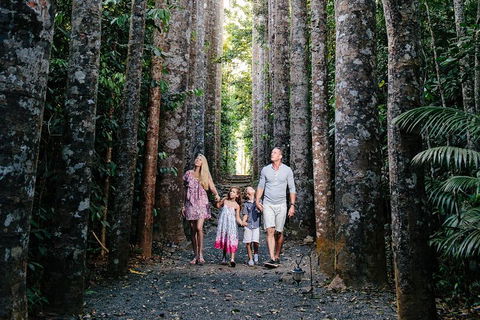 Paronella Park And Millaa Millaa Falls Full-day Tour From Cairns - Accommodation Yamba 5