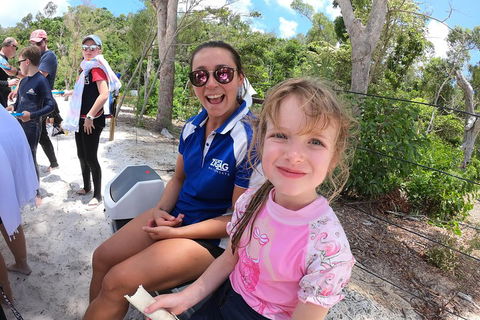 Whitehaven Beach Day Tour With Snorkel In Whitsundays Island - Accommodation Yamba 1