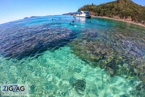 Whitehaven Beach Day Tour With Snorkel In Whitsundays Island - Accommodation Yamba 5