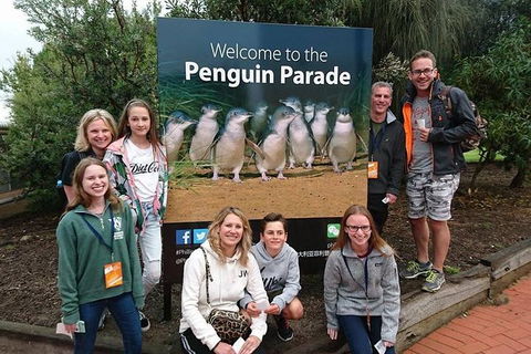 Phillip Island Medium Size Group Tour - Accommodation Yamba 5