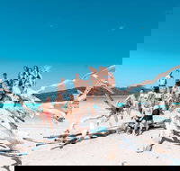 4 Day  3 Night Whitsunday Islands  Outer Reef Sailing Adventure on Condor