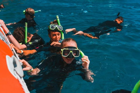 Whitehaven Beach And Hill Inlet Lookout Full-Day Snorkeling Cruise By High-Speed Catamaran - Accommodation Yamba 3