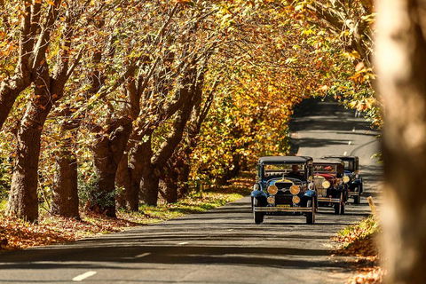 Blue Mountains Vintage Cadillac Tour With Local Guide - Accommodation Yamba 1