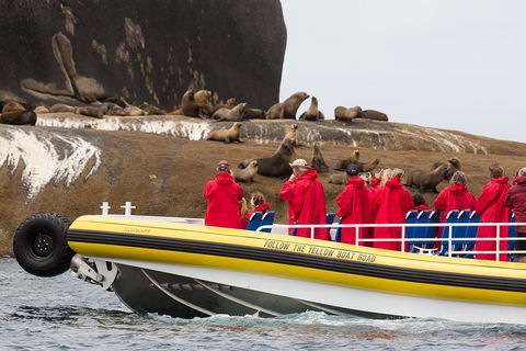 Wilsons Promontory Wilderness Cruise From Tidal River - Accommodation Yamba 1