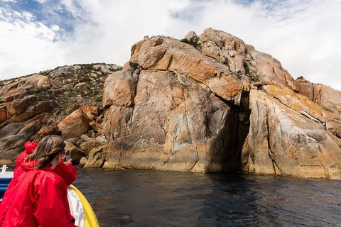 Wilsons Promontory Wilderness Cruise From Tidal River - Accommodation Yamba 3