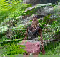 Full-Day Guided Hinterland Adventure Tour in Queensland - Accommodation Yamba