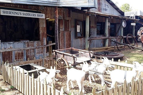 Full Day Atherton Tablelands Tour From Cairns - Accommodation Yamba 4