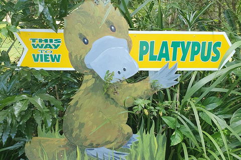 Full Day Atherton Tablelands Tour From Cairns - Accommodation Yamba 5