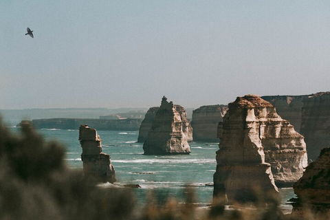 Half-Day Or Full-Day Tour With Private Guide From Melbourne - Accommodation Yamba 0