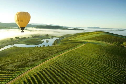 Half-Day Or Full-Day Tour With Private Guide From Melbourne - Accommodation Yamba 4