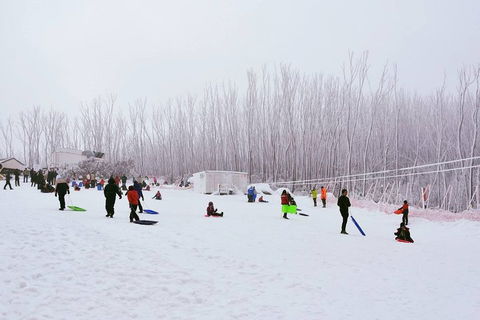Private Mount Buller Snow And Ski Tour From Melbourne - Accommodation Yamba 1
