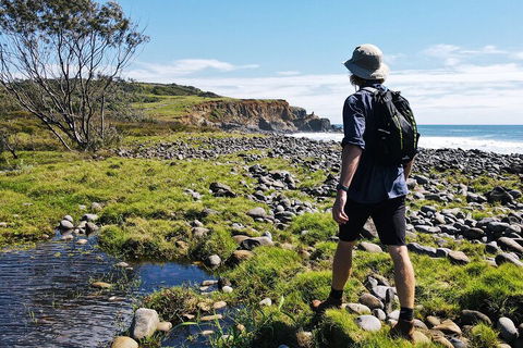 Half Day Guided Small Group Walk - Accommodation Yamba 0
