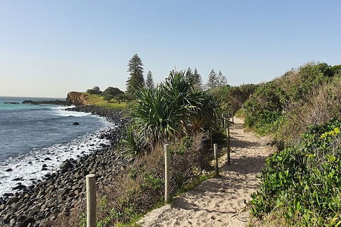 Half Day Guided Small Group Walk - Accommodation Yamba 2