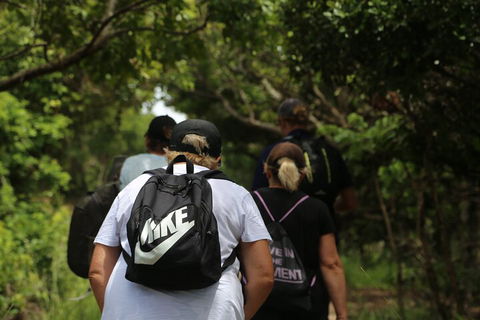 Half Day Guided Small Group Walk - Accommodation Yamba 4