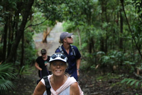 Half Day Guided Small Group Walk - Accommodation Yamba 5