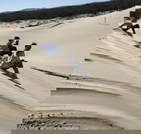 Port Stephens Bush Beach and Sand Dune 4WD Tag-Along Tour - Accommodation Yamba