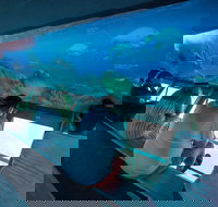 Great Barrier Reef Day Cruise to Reefworld