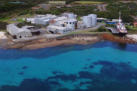 Albany's Whale Story - Accommodation Yamba 4
