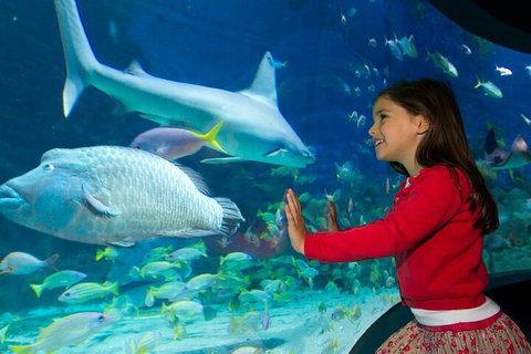 Melbourne BIG Ticket - LEGOLAND Discovery And SEA LIFE Melbourne - Accommodation Yamba 1