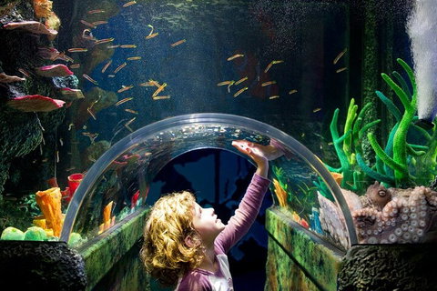 Melbourne BIG Ticket - LEGOLAND Discovery And SEA LIFE Melbourne - Accommodation Yamba 2