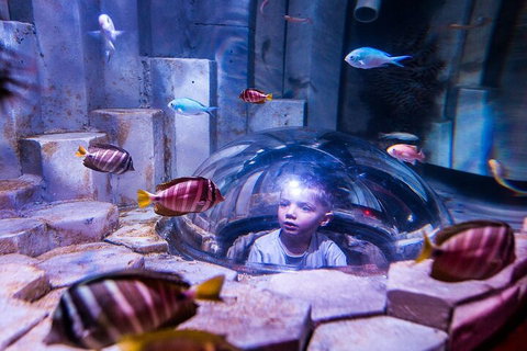 Melbourne BIG Ticket - LEGOLAND Discovery And SEA LIFE Melbourne - Accommodation Yamba 5