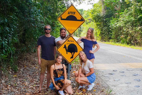 Cape Tribulation, Daintree Rainforest And Wildlife Tour - Accommodation Yamba 0