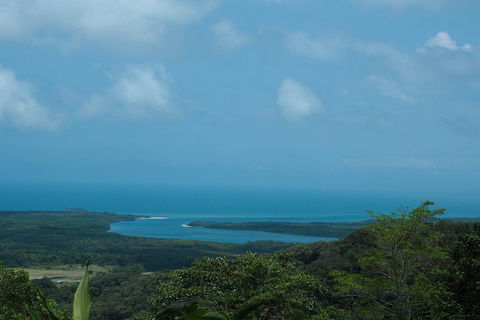 Cape Tribulation, Daintree Rainforest And Wildlife Tour - Accommodation Yamba 1