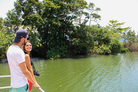 Cape Tribulation, Daintree Rainforest And Wildlife Tour - Accommodation Yamba 2