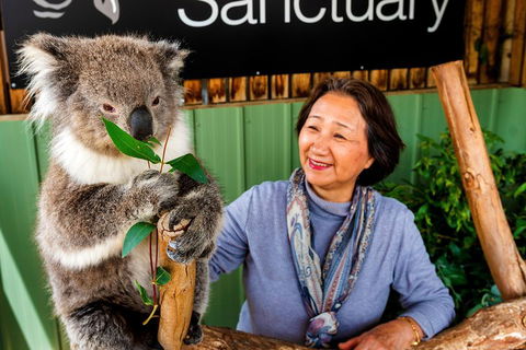 Moonlit Sanctuary Wildlife Conservation Park Daytime General Entry Ticket - Accommodation Yamba 0