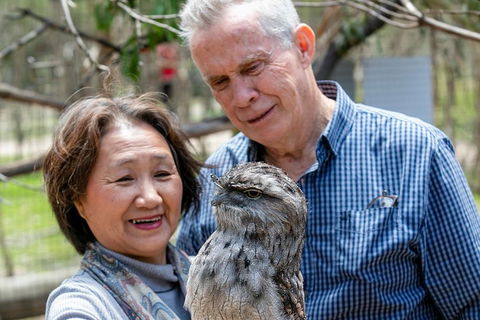 Moonlit Sanctuary Wildlife Conservation Park Daytime General Entry Ticket - Accommodation Yamba 3