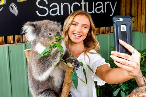 Moonlit Sanctuary Wildlife Conservation Park Daytime General Entry Ticket - Accommodation Yamba 4