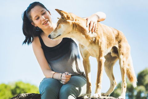 Moonlit Sanctuary Wildlife Conservation Park Daytime General Entry Ticket - Accommodation Yamba 5