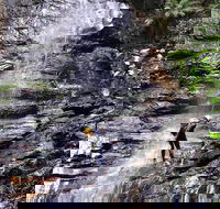 Full-Day Canyoning Experience at Stunning Empress Canyon - Accommodation Yamba