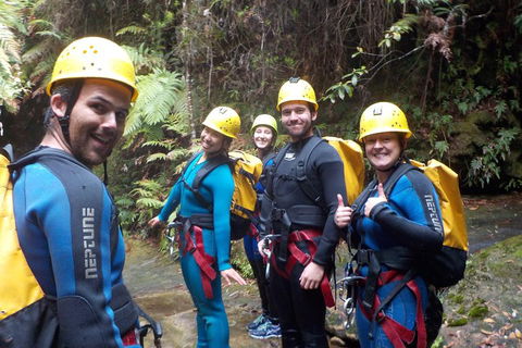 Full-Day Canyoning Experience At Stunning Empress Canyon - Accommodation Yamba 1