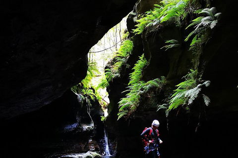 Full-Day Canyoning Experience At Stunning Empress Canyon - Accommodation Yamba 2