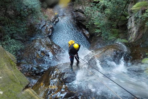 Full-Day Canyoning Experience At Stunning Empress Canyon - Accommodation Yamba 4
