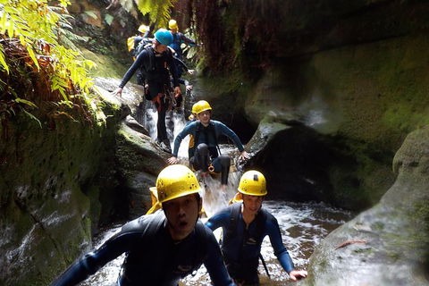 Full-Day Canyoning Experience At Stunning Empress Canyon - Accommodation Yamba 5