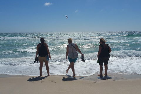 Very Best Of Perth Tour - Wildlife Park & City Highlights Tour - Accommodation Yamba 5