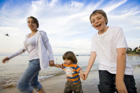 Phillip Island Penguin And Koala Highlights Day-Trip From Melbourne - Accommodation Yamba 0