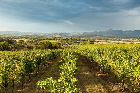 Yarra Valley Local Produce And Wine Tasting Tour - Accommodation Yamba 3