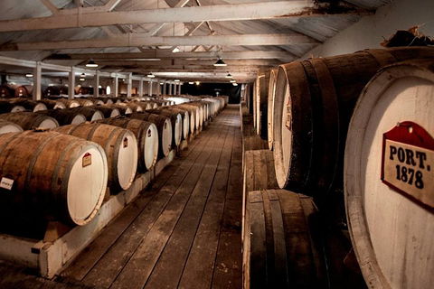 Seppeltsfield Taste Your Birth Year Experience - Accommodation Yamba 4