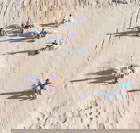 Unlimited Sandboarding - Accommodation Yamba