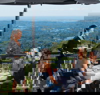 Sunshine Coast Hinterland Rainforest Views and Montville Day Tour Inc. Lunch - Accommodation Yamba