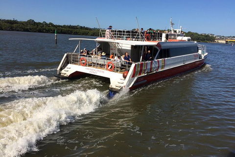 PRIVATE All-Day Blue Mountains Tour With Professional Guide For Up To 4 People - Accommodation Yamba 0