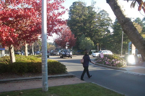PRIVATE All-Day Blue Mountains Tour With Professional Guide For Up To 4 People - Accommodation Yamba 1
