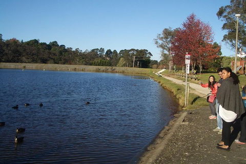 PRIVATE All-Day Blue Mountains Tour With Professional Guide For Up To 4 People - Accommodation Yamba 2